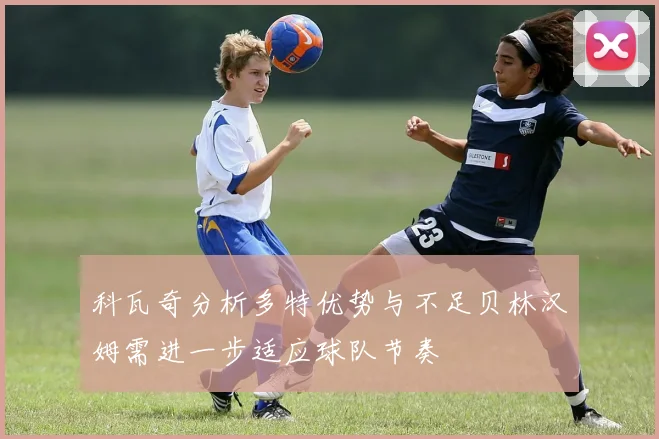 科瓦奇分析多特优势与不足贝林汉姆需进一步适应球队节奏